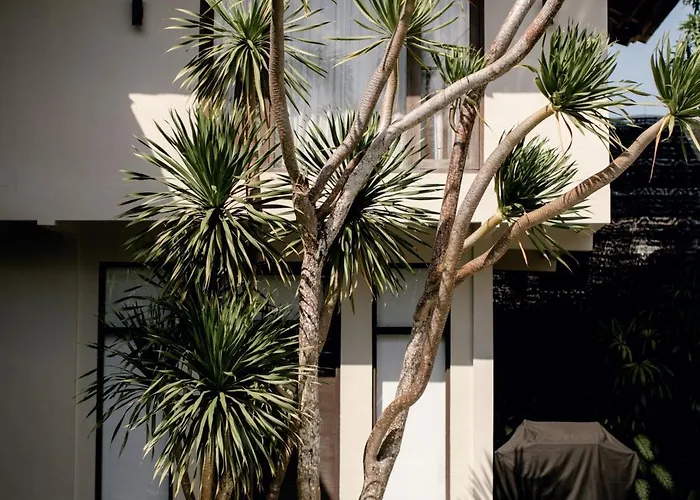 Wave House Boutique Surf Retreat - Adults Only リゾート